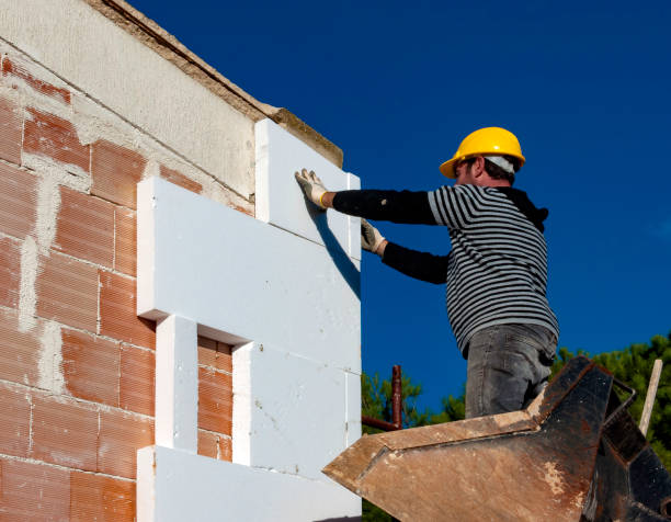 Best Cellulose Insulation  in Shenandoah, TX