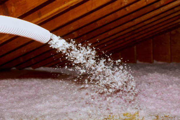 Best Insulation Inspection Services  in Shenandoah, TX