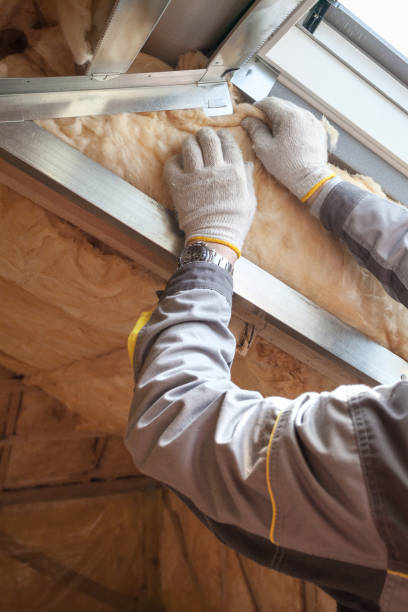 Best Professional Insulation Contractor  in Shenandoah, TX