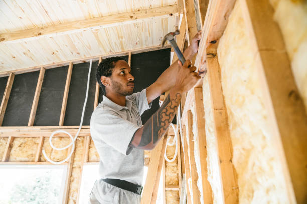 Best Insulation Replacement Services  in Shenandoah, TX