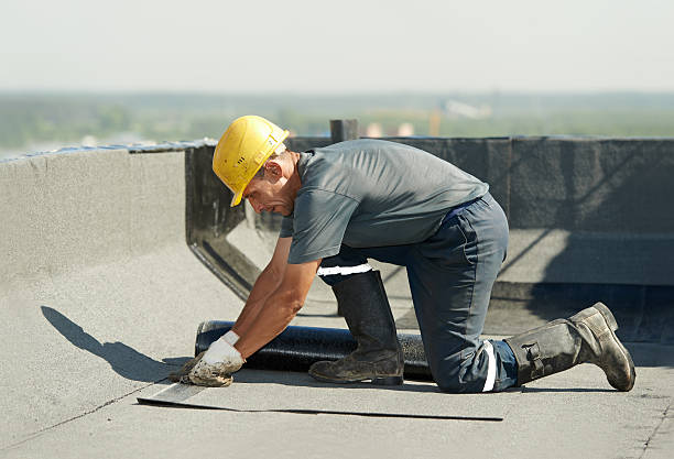Best Insulation Repair Services  in Shenandoah, TX