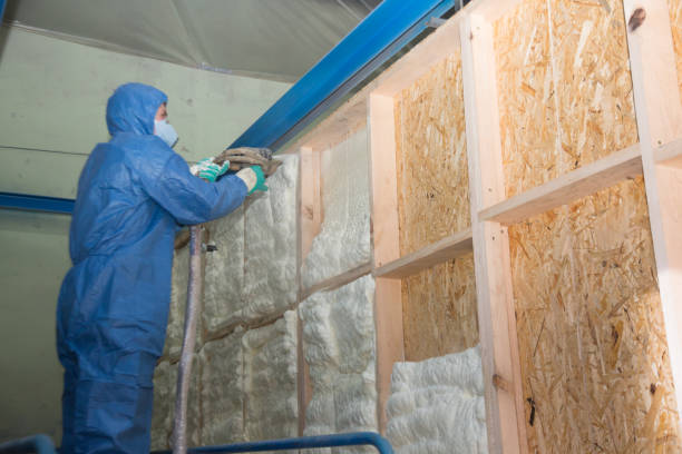 Best Insulation Contractors for Homes  in Shenandoah, TX