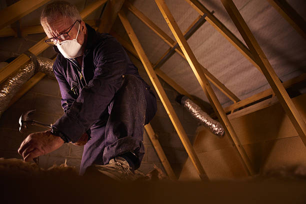 Best Insulation for Commercial Buildings  in Shenandoah, TX
