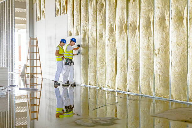 Best Local Insulation Services  in Shenandoah, TX